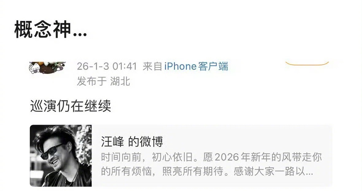 汪峰概念神一个汪峰，一堆热搜，哈哈哈哈哈真正的概念神