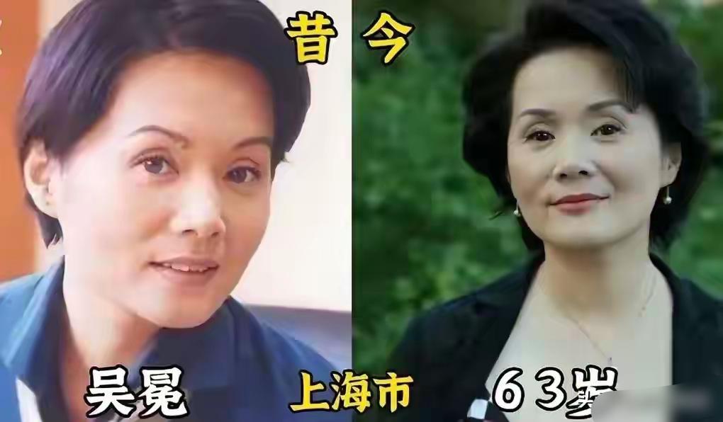 吴冕、陈冲、奚美娟都是实力派老一辈表演艺术家，深耕影视行业数十年，斩获众多专业奖