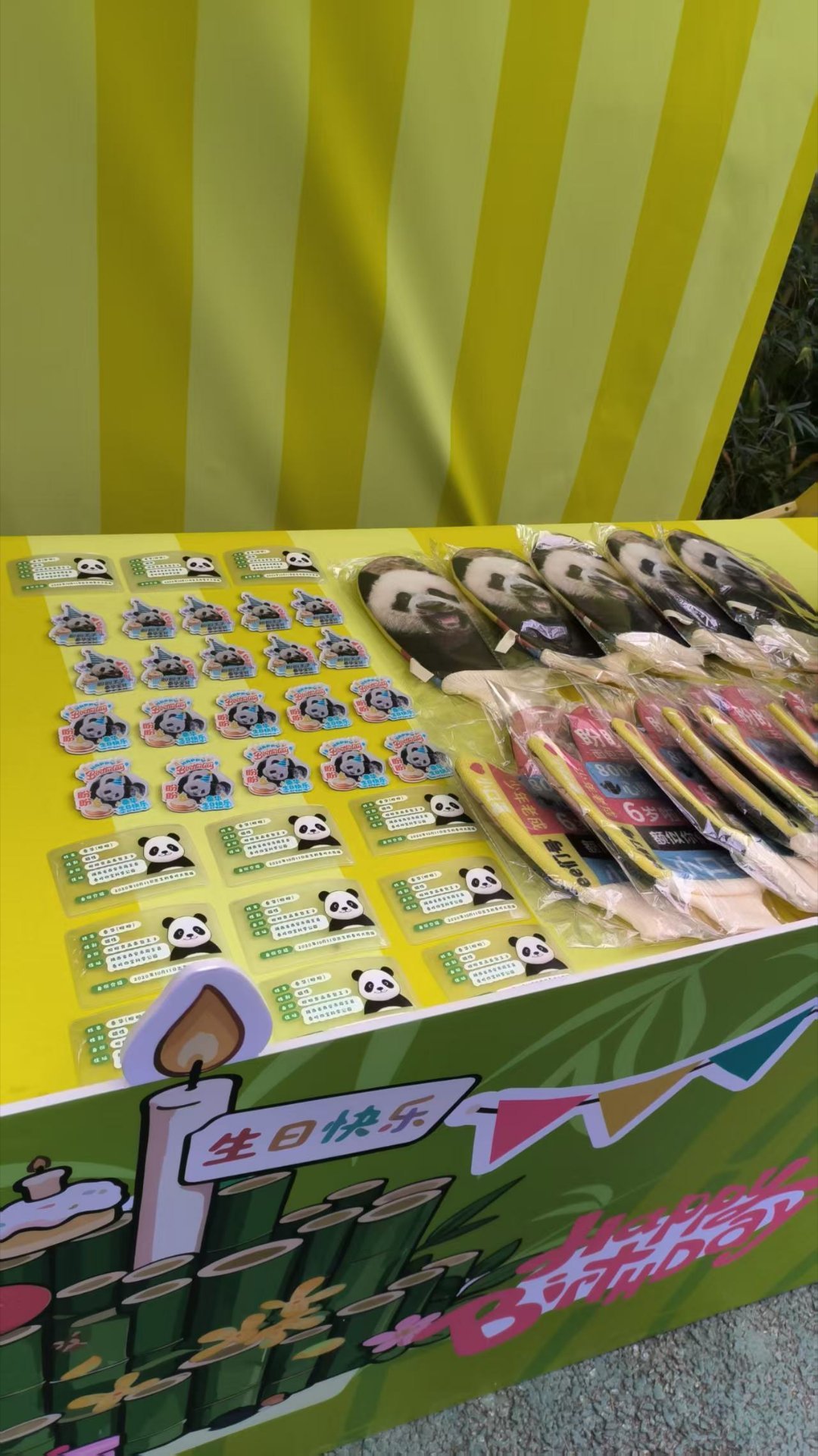 大熊猫秦华在秦岭四宝科学公园迎来6岁生日。盼盼认养了它，也提前为生日会预热。现场