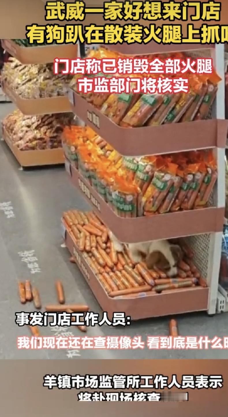 但当下的现实，却是在商场、餐馆及公共场所，肇事狗主毫发无损地全身而退，管理方却要
