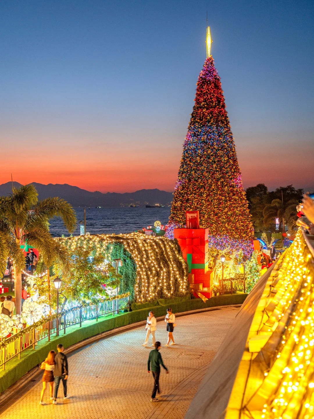 全网都在期待，香港海边巨型圣诞树！