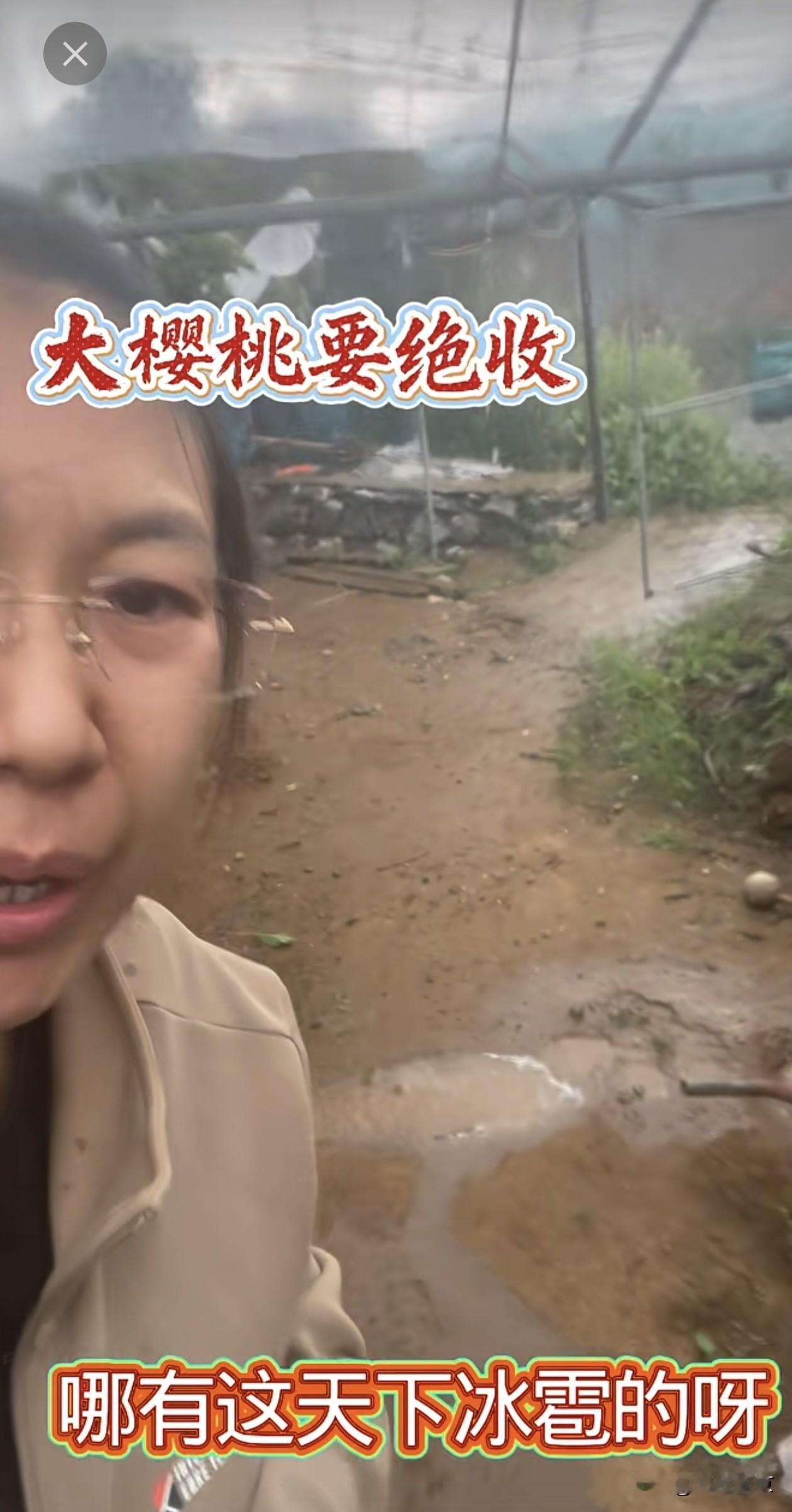 辽宁瓦房店部分地区遭遇冰雹袭击，果农损失惨重…
 
今天下午，辽宁大连瓦房店、普