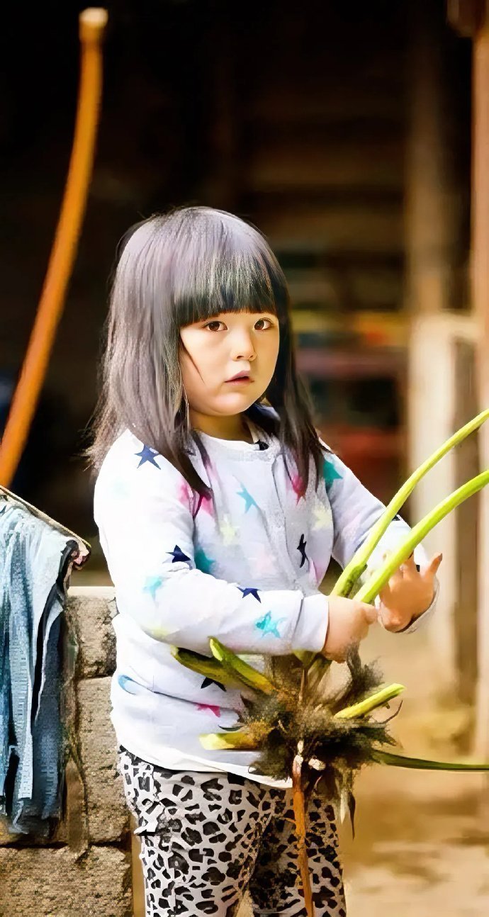 王诗龄这辈子吃过唯一的苦，估计就是参加爸爸去哪儿了