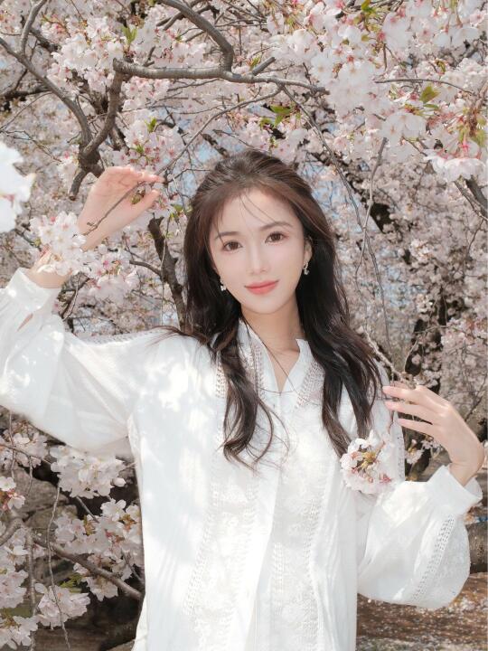 樱花掉落的速度是每秒5厘米🌸4.8东京live