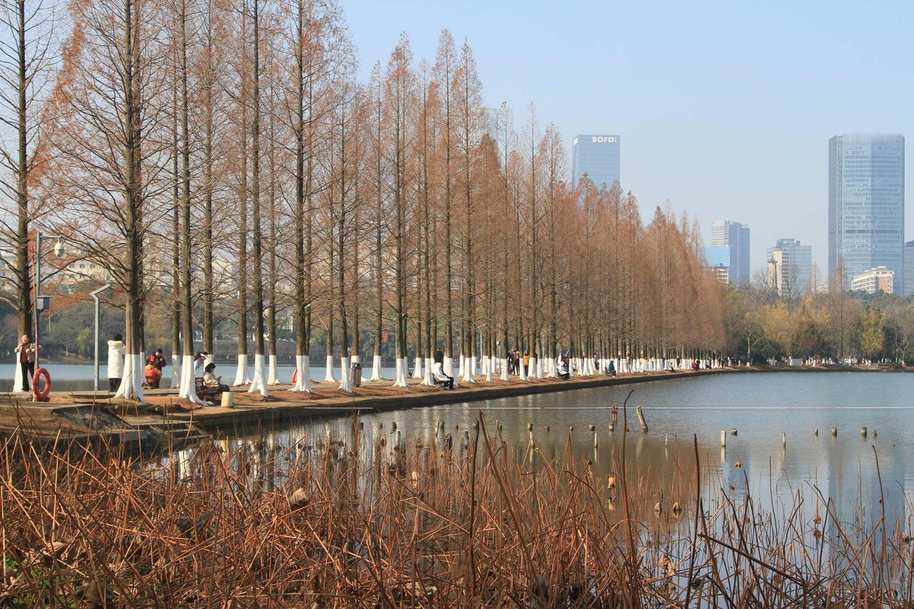 如果说，长沙的秋天是一本徐徐合上的书，那么烈士公园的这条水杉大道，便是书脊上最深