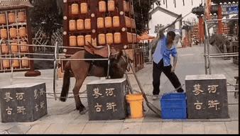 如此对待为自己服务、为自己创造财富的动物，而且又是一个非常忠诚温顺的动物，这就实