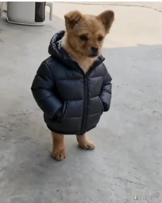 人生挺有趣的地方在它有起有落，我当前就是处在低潮，聊点顶用的。这两年职业生涯不太