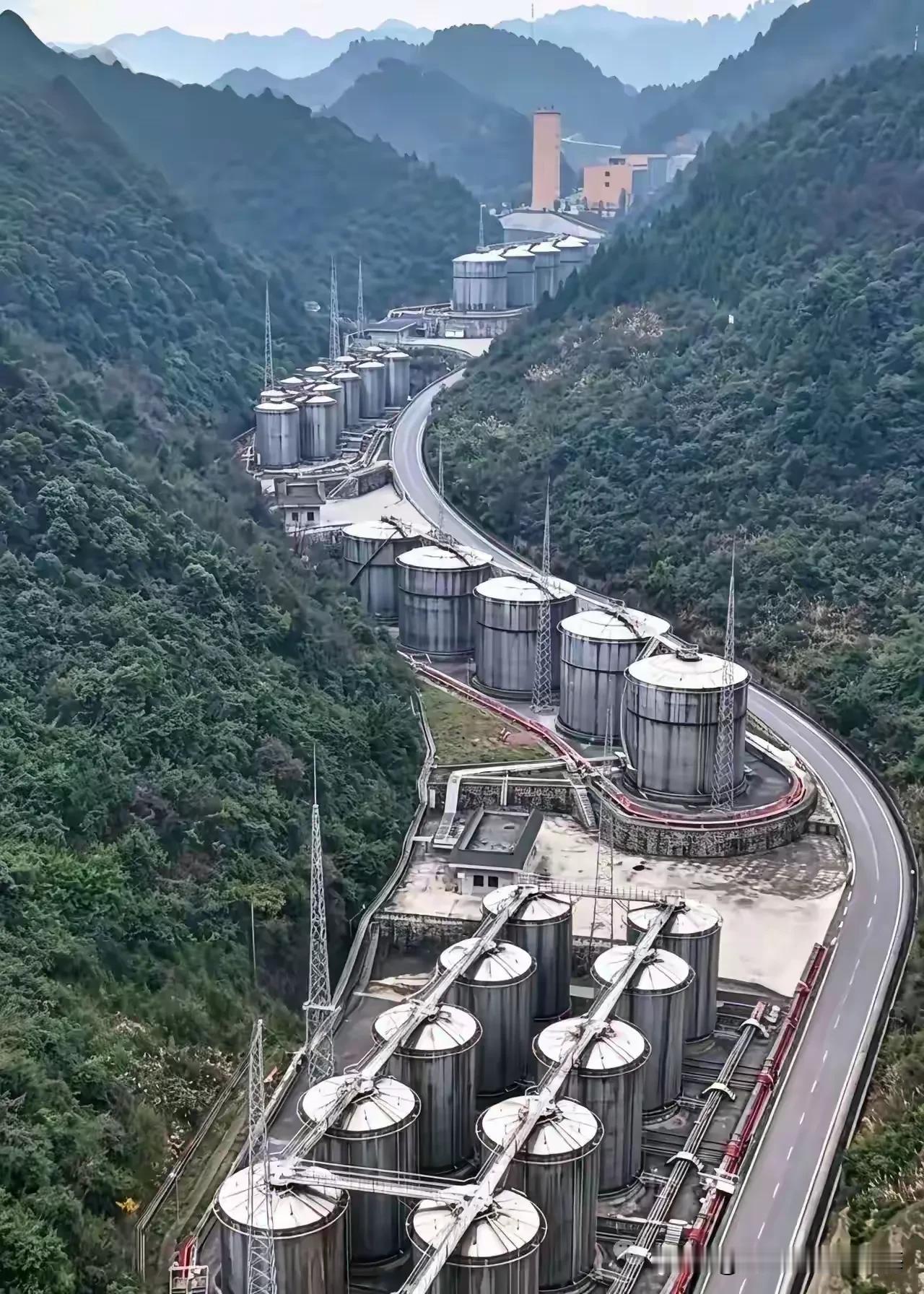 满目烟光惊岁晚，
一川芳酿待人来。
寻香何必趋街肆，
欲伴丘山永不回。