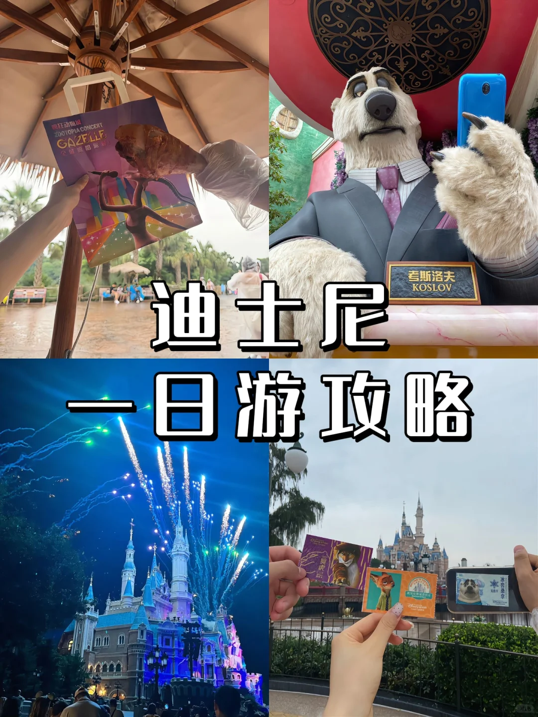 上海迪士尼｜三伏天一日游攻略！主打避暑🥵