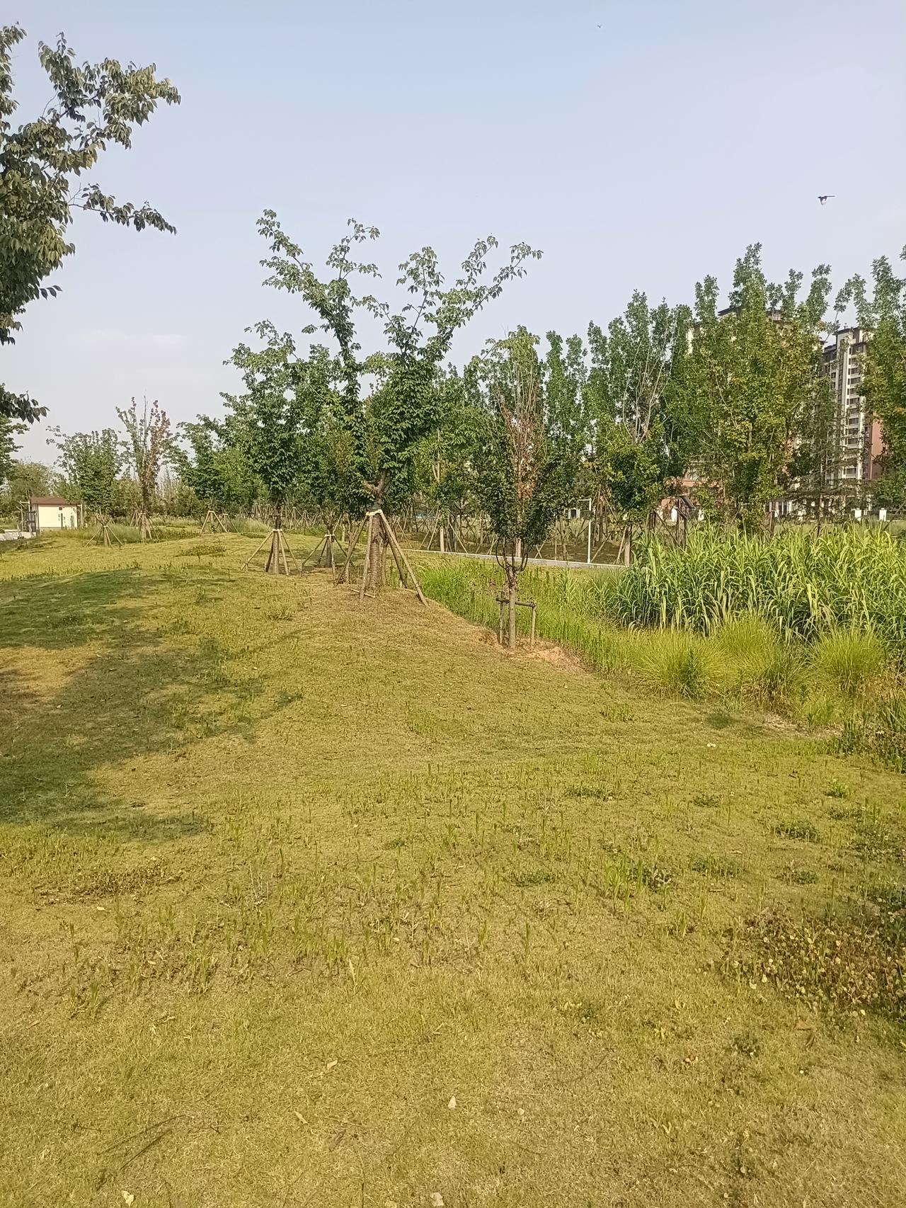 一位妈妈的感悟：“养了孩子后才明白：成绩再好，名校再牛，都不如他有个好心态。能好