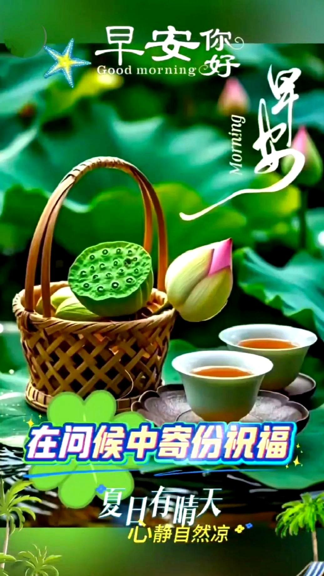 炎炎夏日长，热浪随风扬

这天气真是热得狗都吐舌头了，我昨天蹲在小区门口看树上的