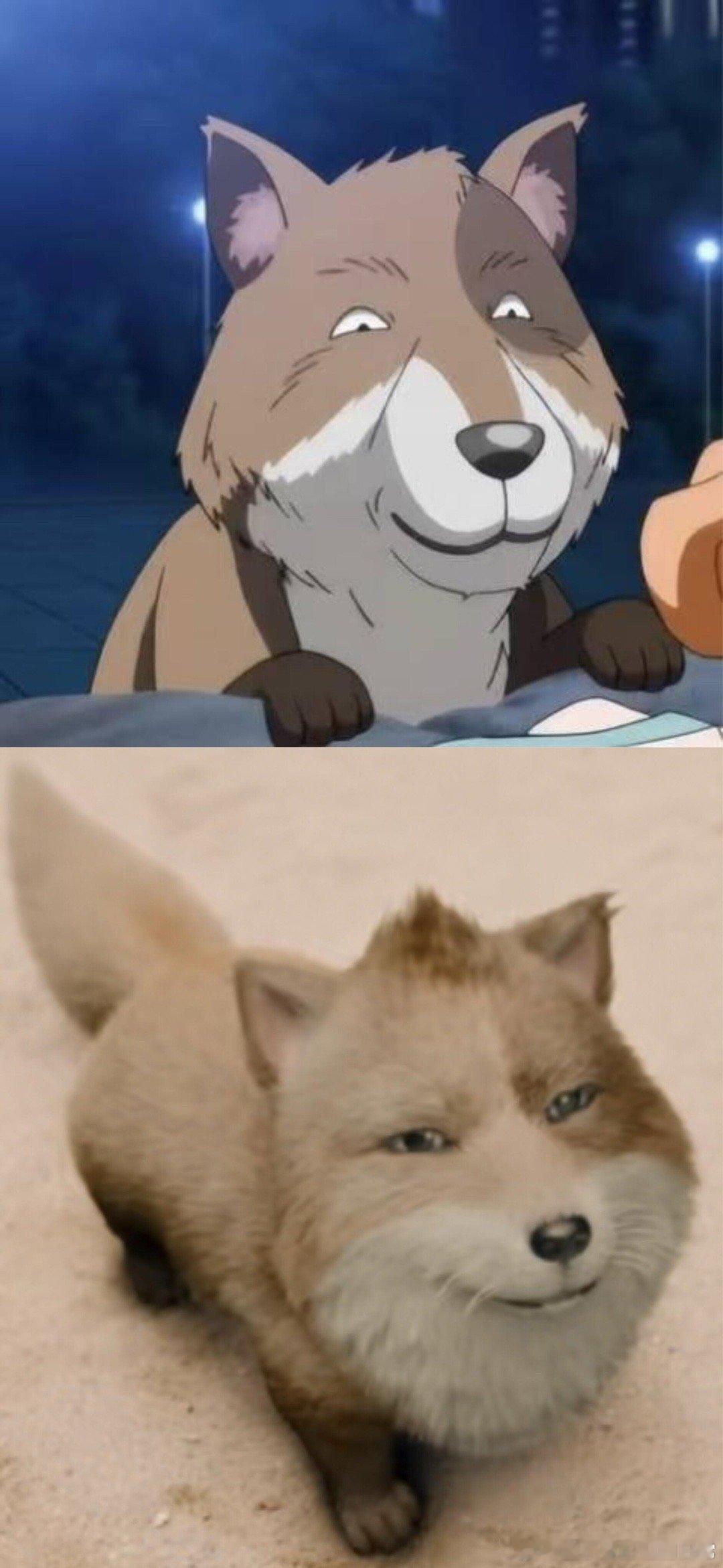 天地剑心这个小土狗简直太还原了就这个贱嗖嗖的表情简直一模一样！ ​​​