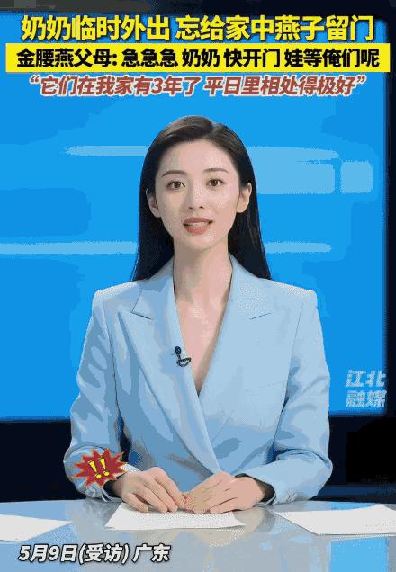 “太有灵性了！”广东一位奶奶出门倒垃圾时顺手带上了门，没成想让觅食回来的燕子父母