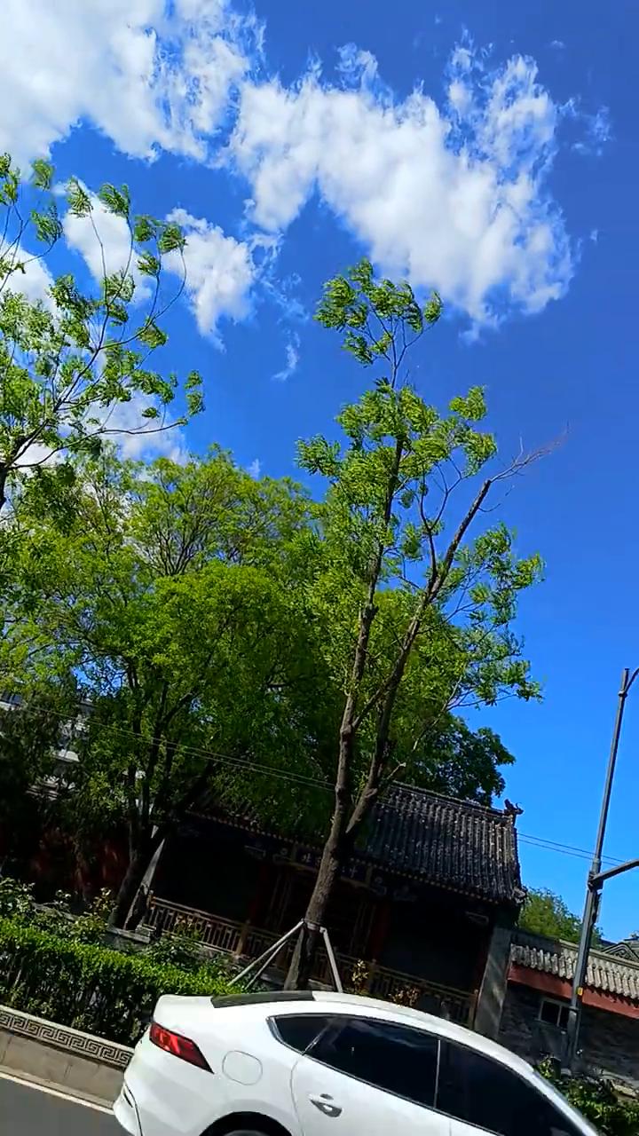 你还得赶旅游团，下不去，人多，没人了，还有四路。