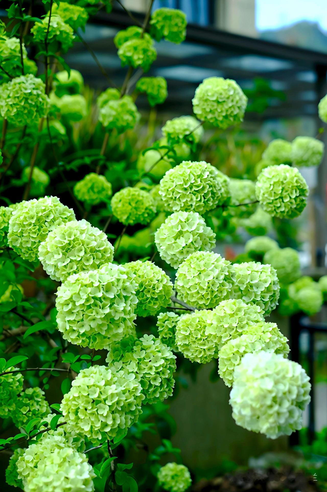 天蝎女真正忘记一个人用多久
答案是无限期
当你觉得你已经很长时间没有想起这个人