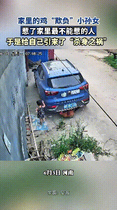 看完这视频真是哭笑不得，家养大公鸡仗着体型大，撵着小主人不停去啄，小娃被吓得哇哇