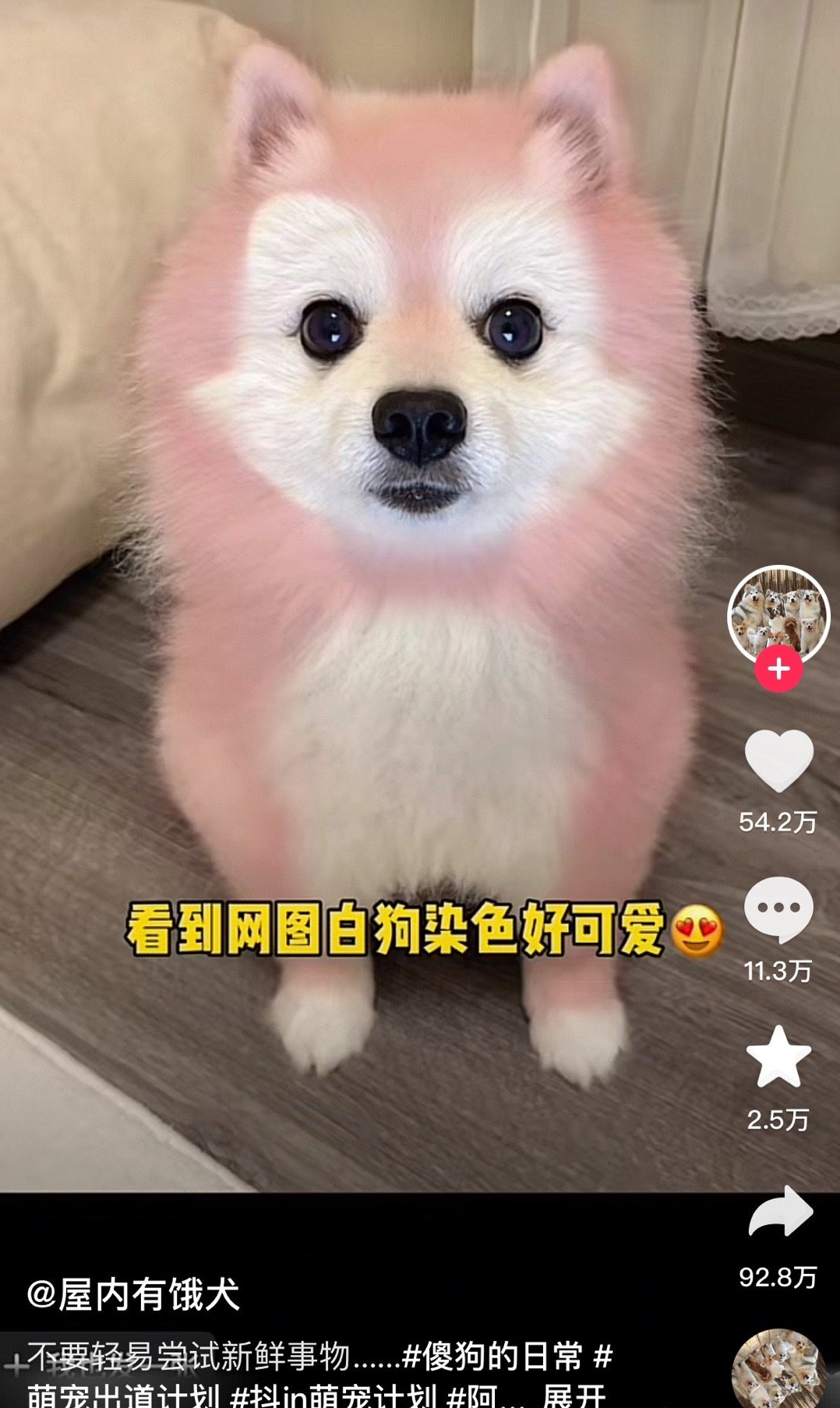 ？？？？？？ ​​​