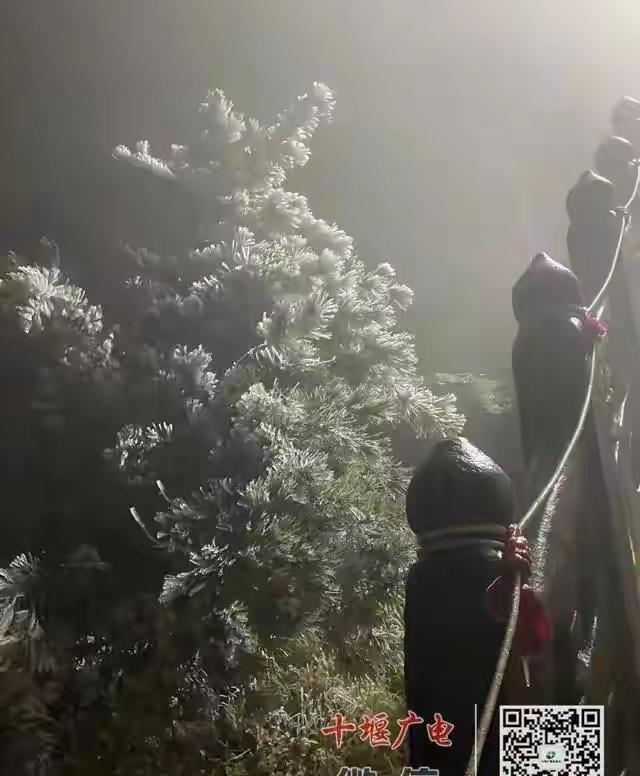 十堰下雪了，这个秋天的冷意终于来了

说真的，武当山这雪下得也太会挑时候了！直接