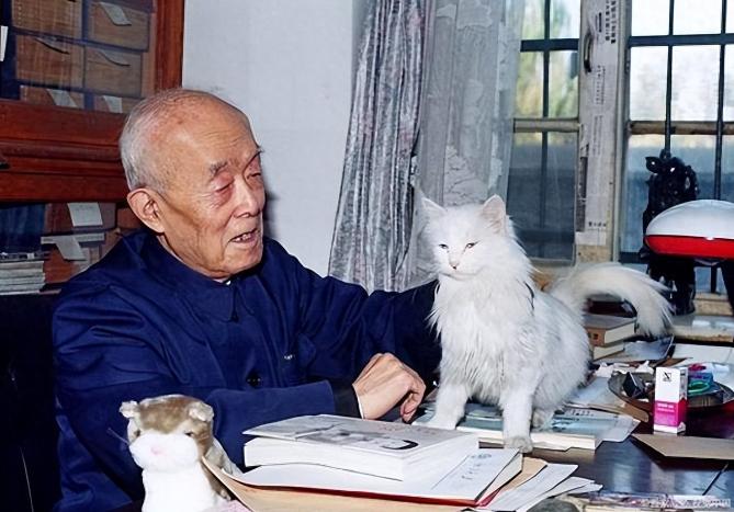 季羡林有句话，扎心得让人不敢细想：很多人忙碌一生，看似拼命向上，其实不过是把“小