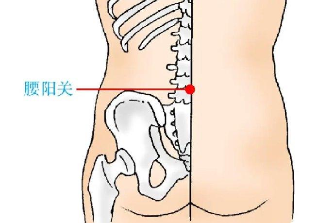 第122穴位腰阳关
 
精准定位
 
脊柱区，第4腰椎棘突下凹陷中，后正中线上；