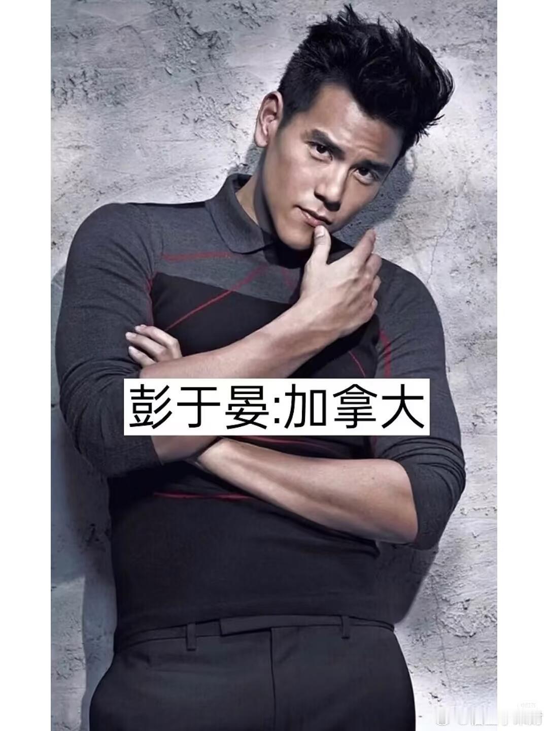 在中国发展的外国明星 