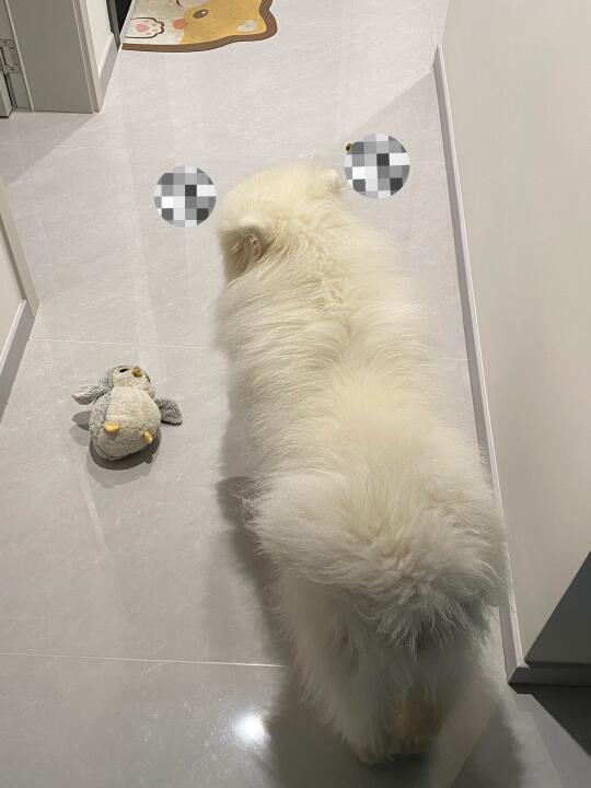 半夜躺床上 都想扇自己两巴掌