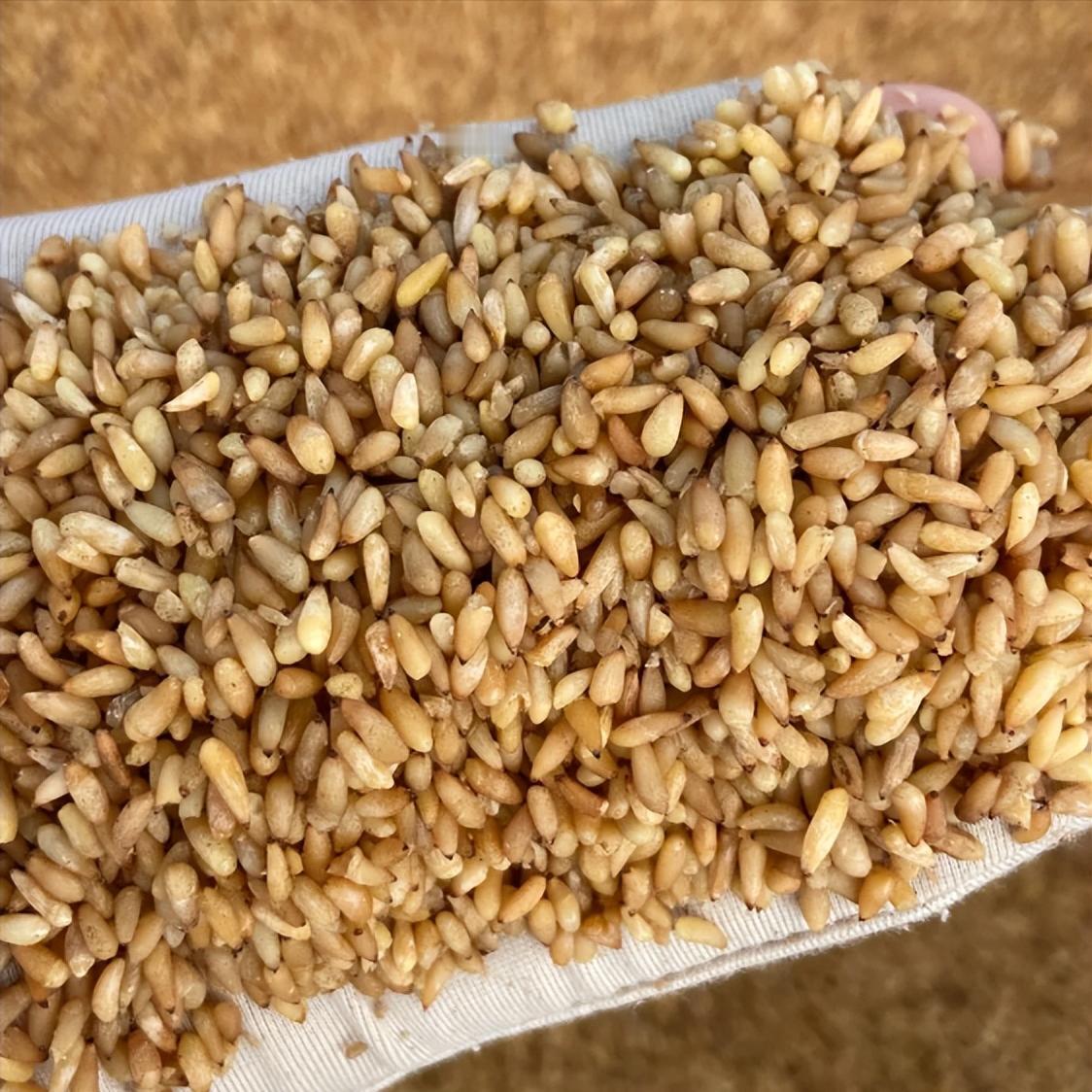 行医 30 年，数千例时间短、硬度差调理心得：不用贵药，抓准病机是关键


大家