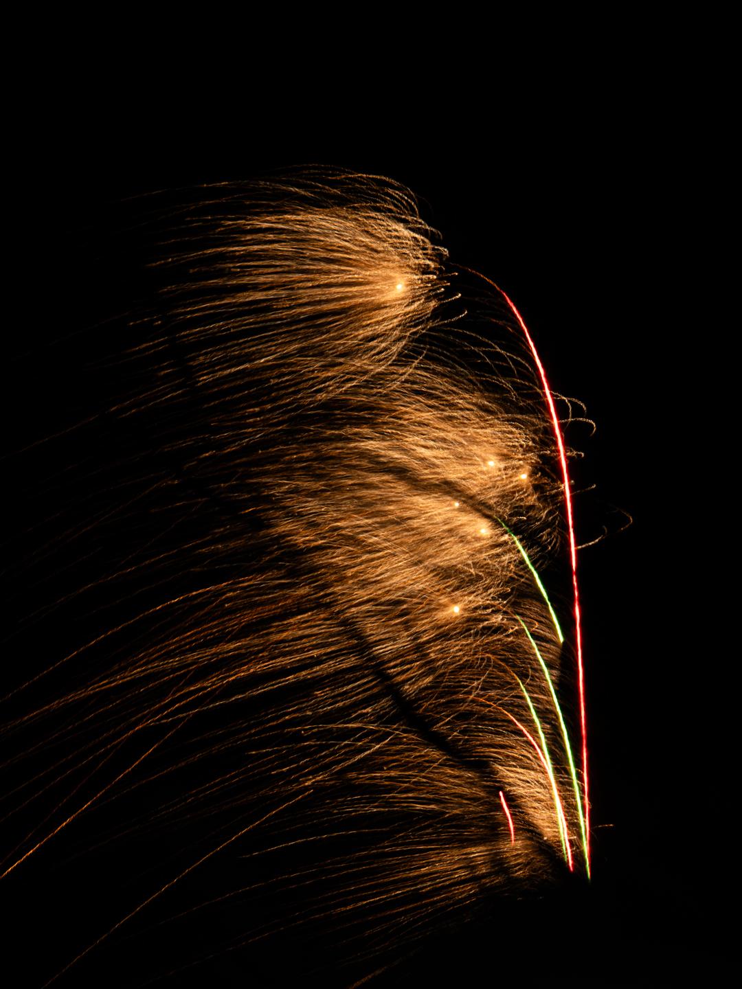 爆竹声中一岁除，春风送暖入屠苏。新春快乐。