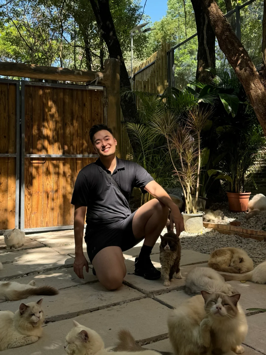 那么多猫猫，到底是谁在撸啊！