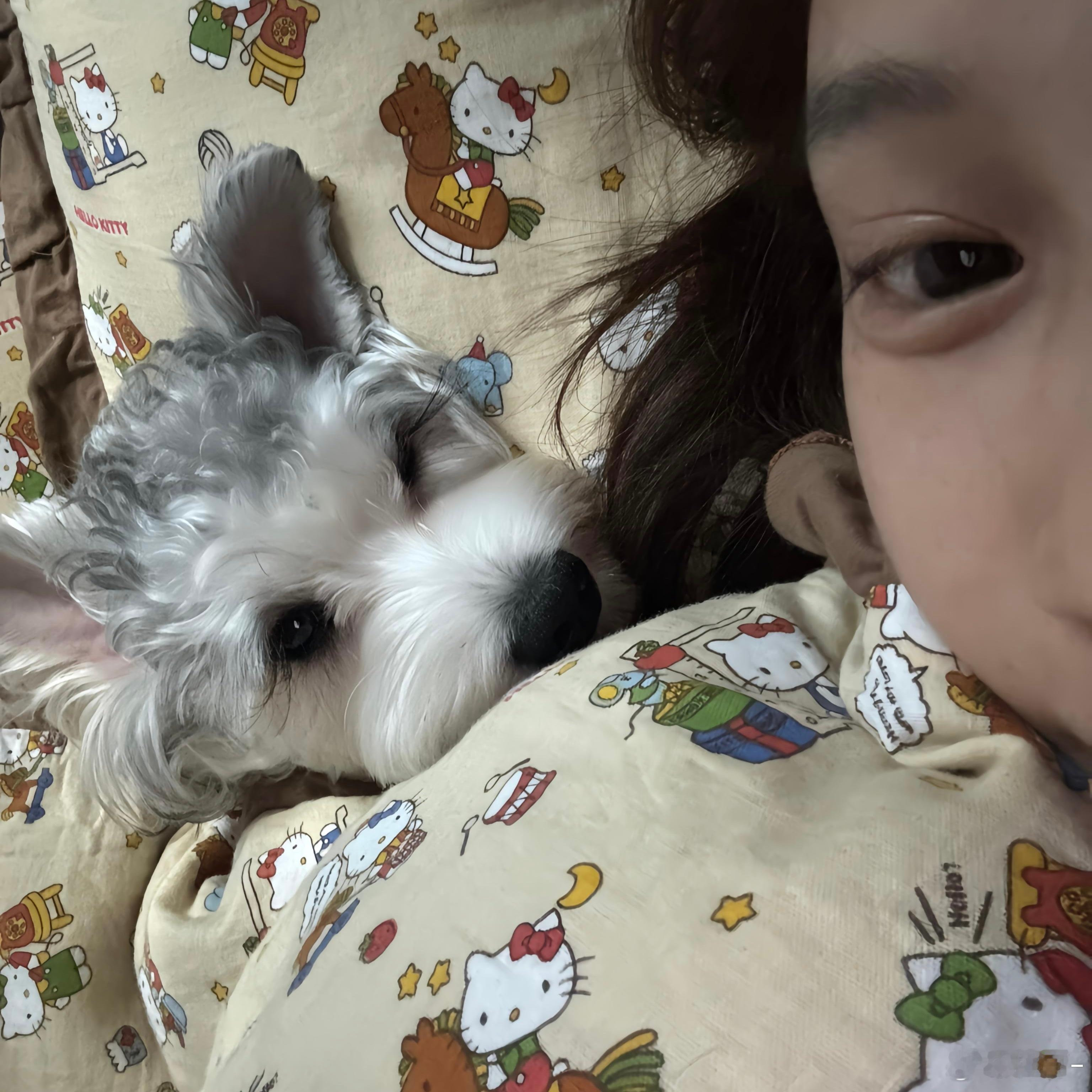 我的小狗 