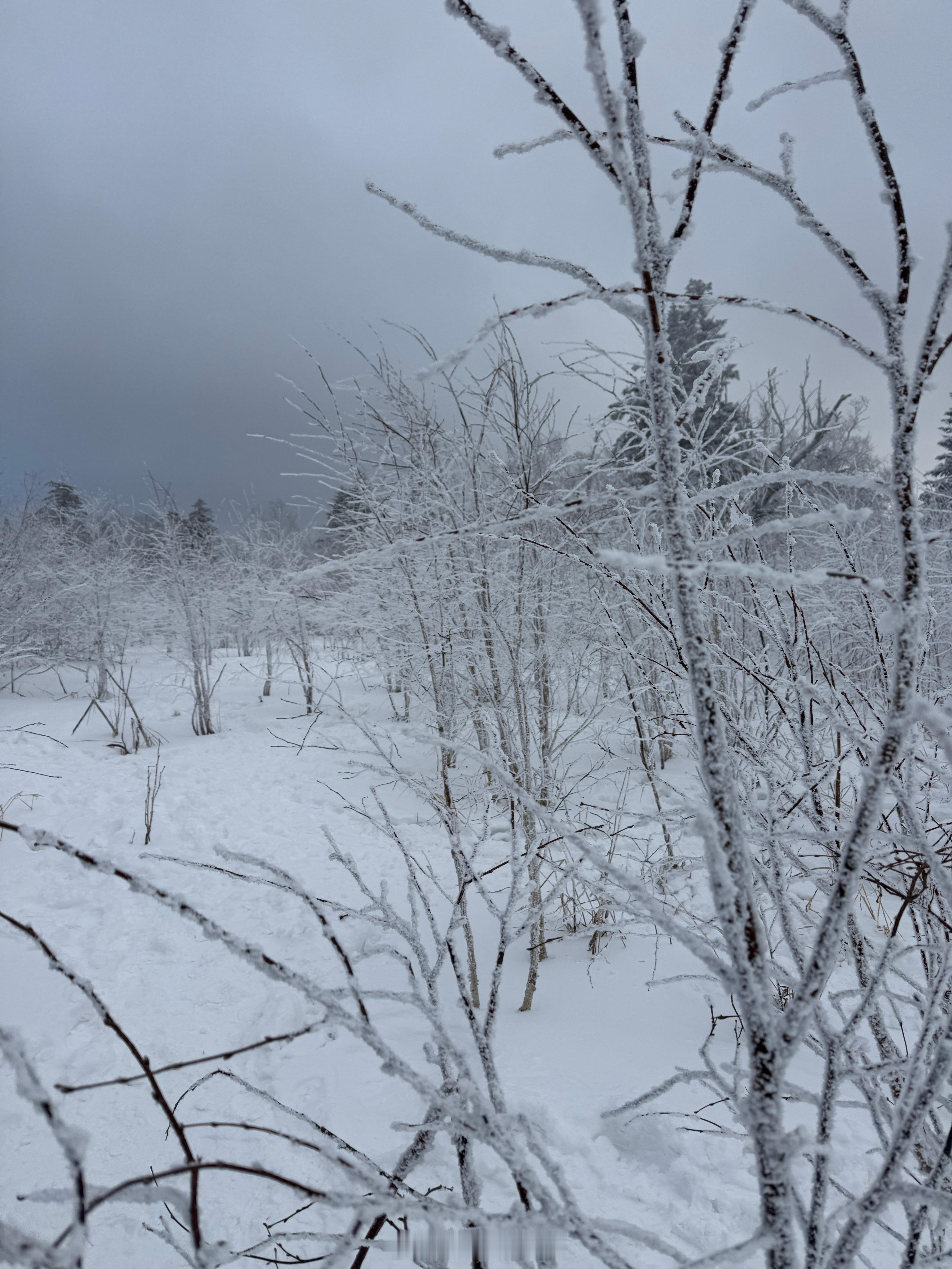 一个福建人非要和西北人打雪仗，打的已经退场了  