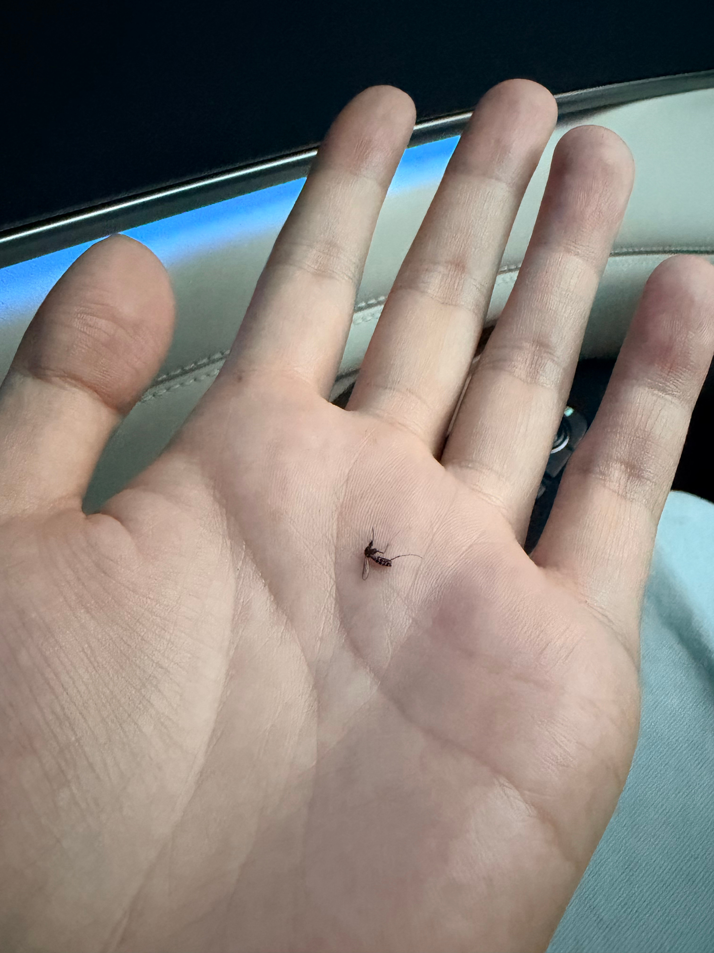 我滴妈呀，这时候还有蚊子呢？ ​​​