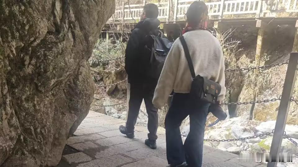 游官门山

官门胜景韵悠长，翠谷清溪映绿杨。
瀑挂悬崖珠玉碎，藤缠古树岁月藏。