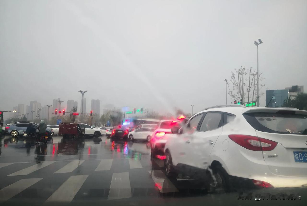  一场大雨，让世纪大道上白色过街天桥更漂亮，今日早晨，小编甚至看到有群众在这天桥