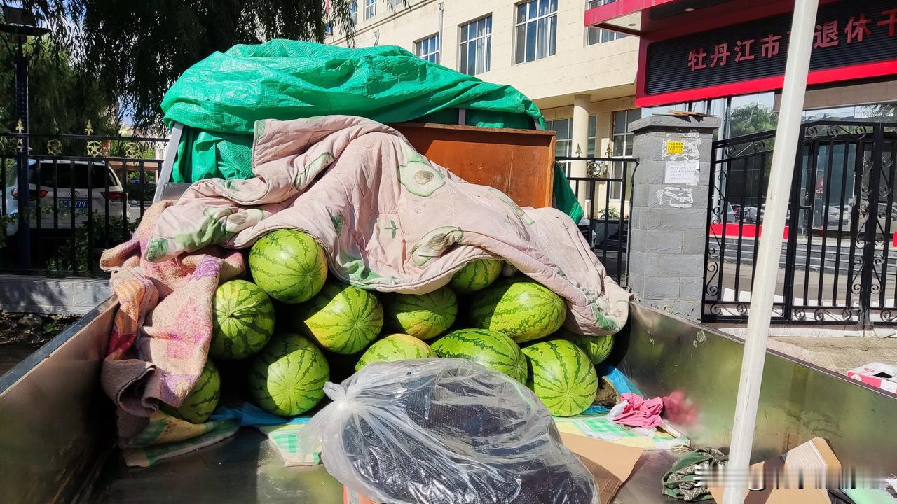 青春少年郎只为偷西瓜而丧命黄泉
“砰、砰、砰。”几声清脆的枪声划破了宁静的长空。