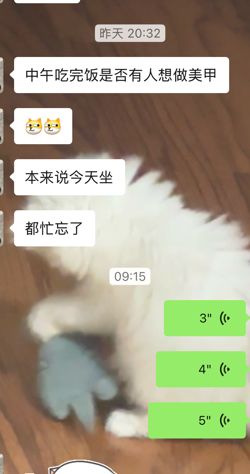 为什么我不爱sl 因为我经常呃不回🛰️ 
