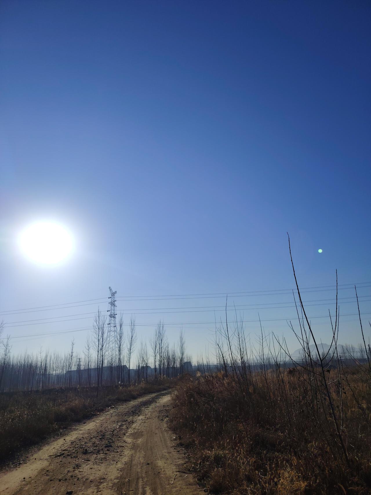 冬日生活打卡季 阳光洒在乡间小路上，静谧而美好。