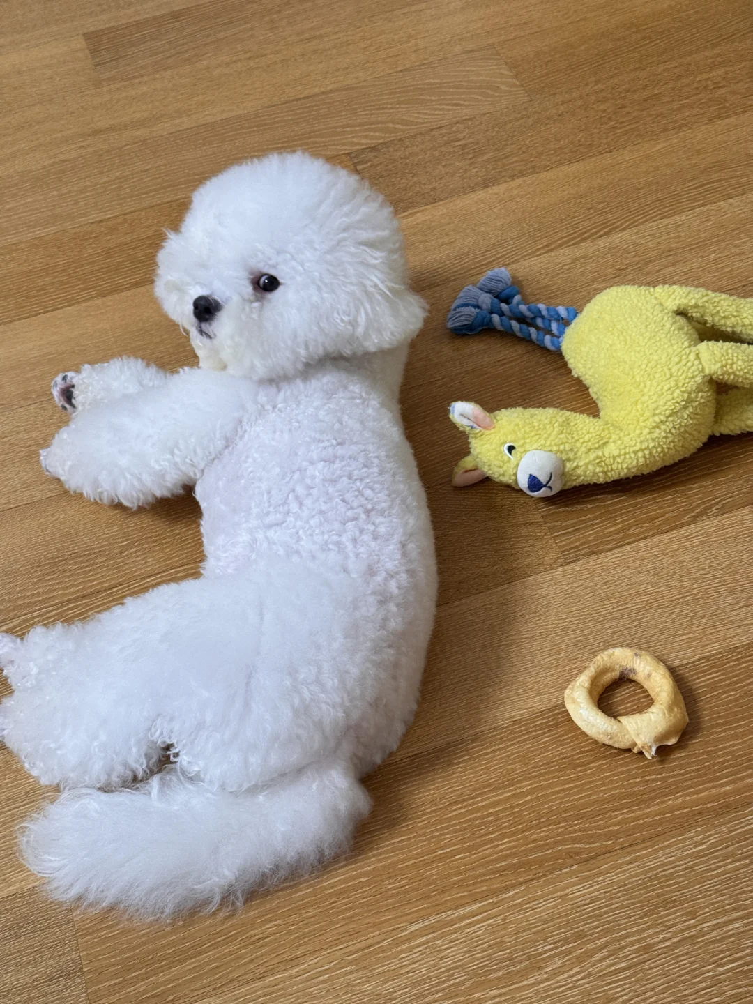 🐶：感觉后背发凉
