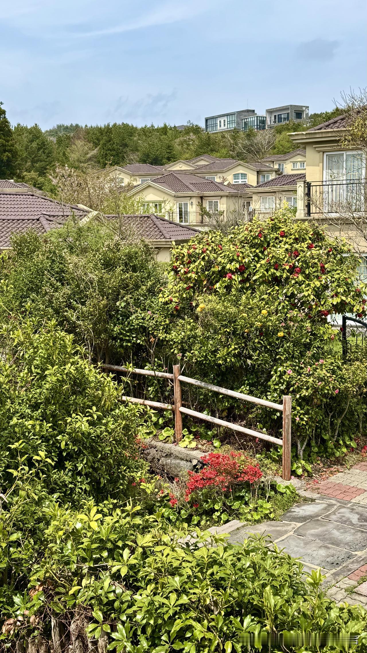 出国一年半，硬是创下一年半未见吐痰人的记录，昨天晚上这项纪录被打破。

傍晚雨后