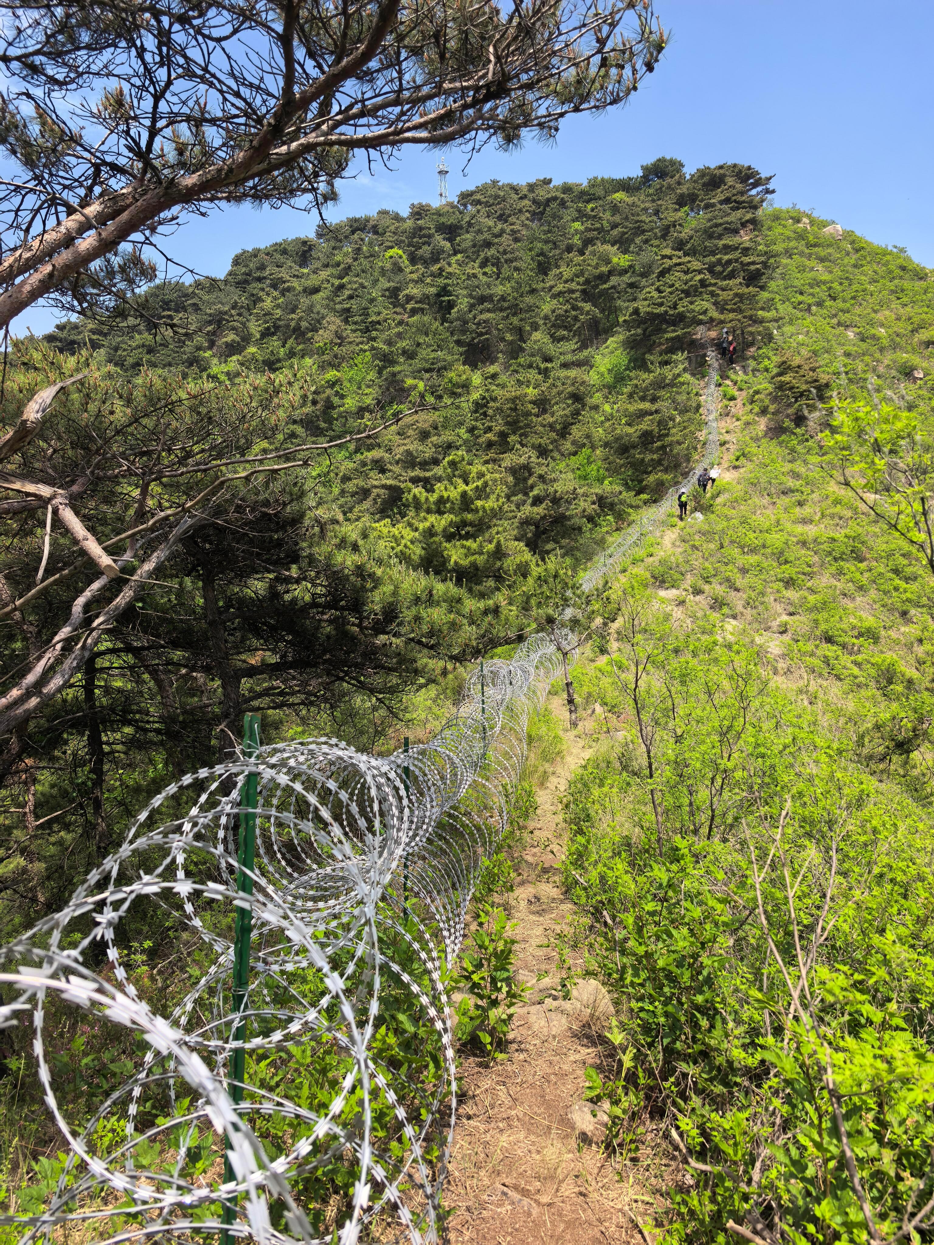 泰山景区道歉泰山景区回应“修建滚筒式刀片刺绳铁丝”：不拆 
