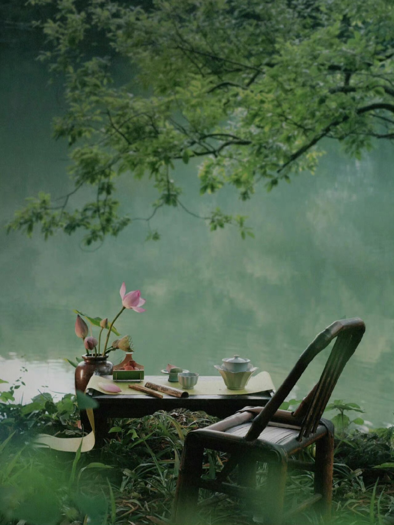 没有什么好遗憾的，我在能走的时候，去过远方；不能走的时候，安于当下。——沈熹微