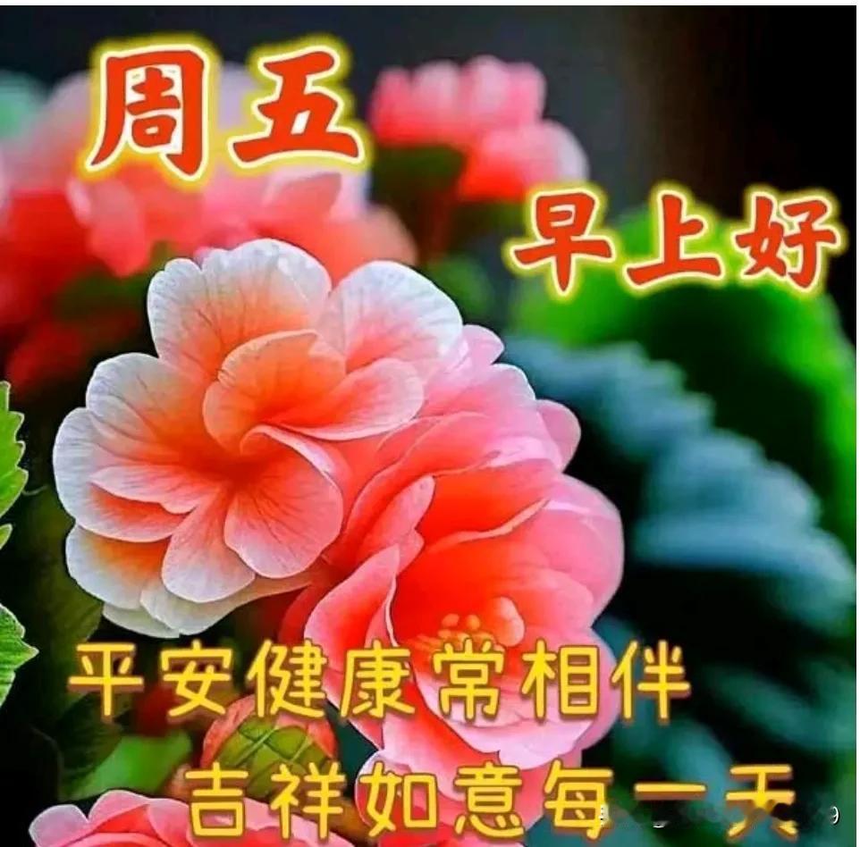 夜去晨来又一天，
清晨问候暖人心；
一句早安胜千言，
健康平安每一天。