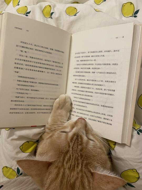 找到一些小时候的照片，心软软