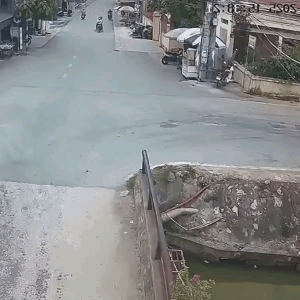 不知道刹车吗？后面的还真是眼疾手快