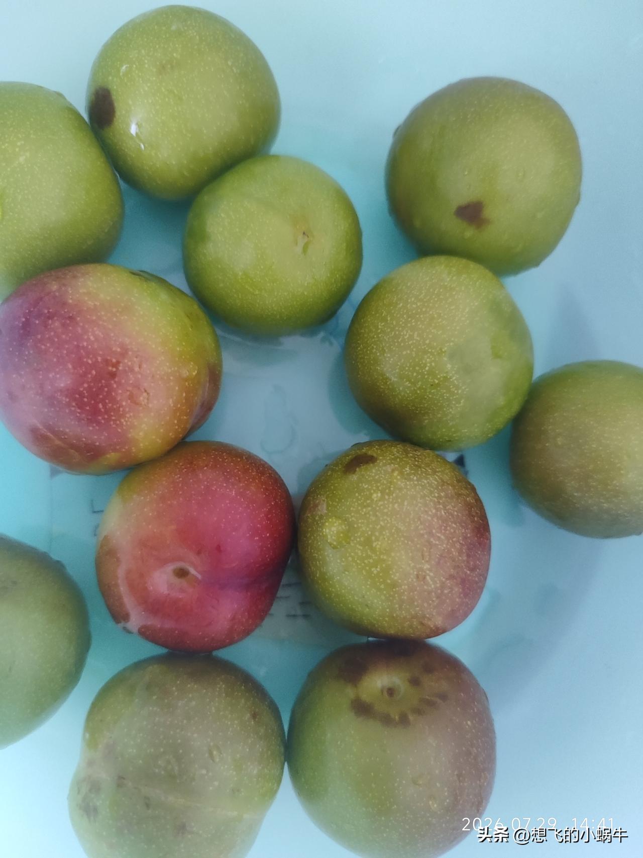 想不到在这，还能吃到正宗的家乡味[机智]没长好的梅溜子
吃了一口，没熟，在老家，