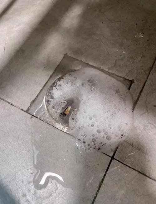 就在刚才，我们小区一单元 2 楼发生了令人不愉快的事情，下水道堵塞致使污水从马桶