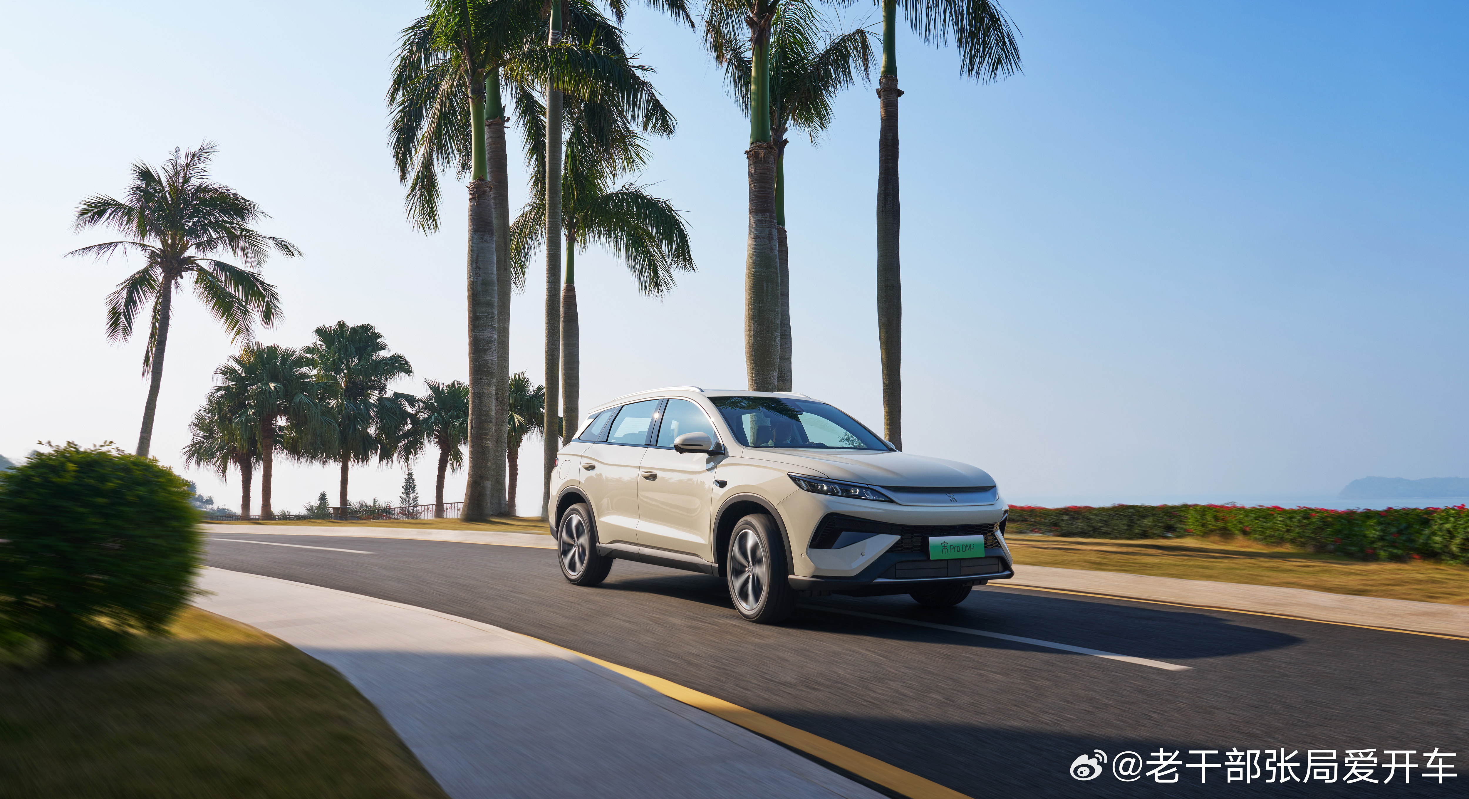 【2026款宋Pro DM-i上市，加推220km长续航版】1月10号，2026