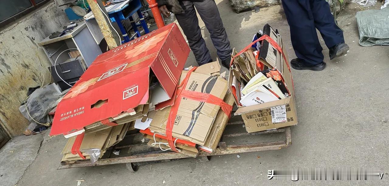 这个玄武湖晚霞照的那个对过高塔南京紫金大厦承包经营就有这原收废品人的股份！厉害了