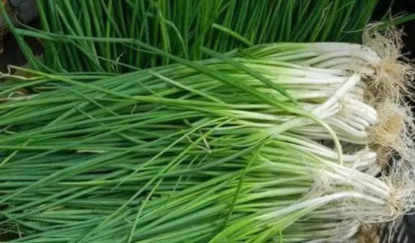 觉得中医很难学，是因为没有人这样讲中医

1:葱是一种蔬菜，为何仲景把葱白，加附