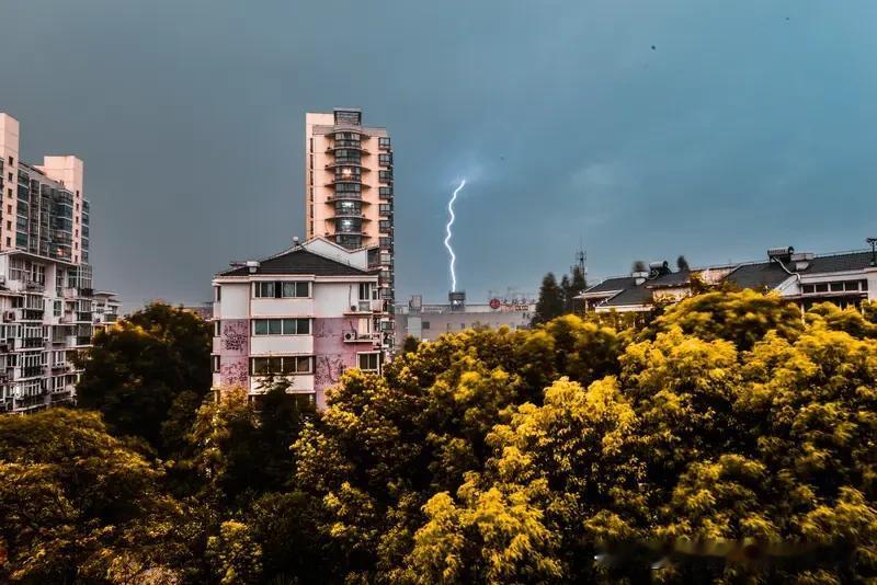 你们听到打雷了吗？[大笑][大笑]

我今天下午听到打雷了，今年春天的第一声春雷
